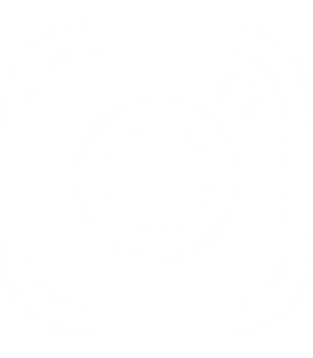 instagram_brand