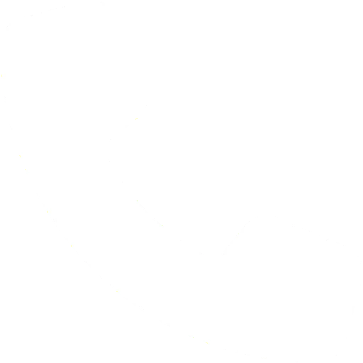 phone_brand