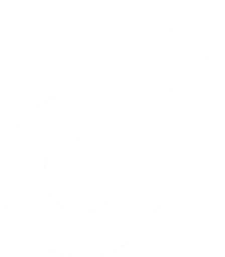 tiktok_brand
